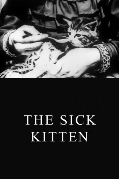 Póster de The Sick Kitten