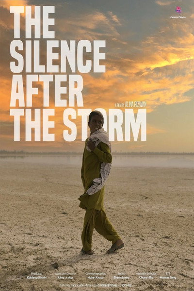 Póster de The Silence After the Storm
