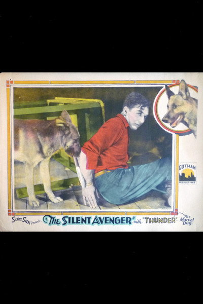 Póster de The Silent Avenger