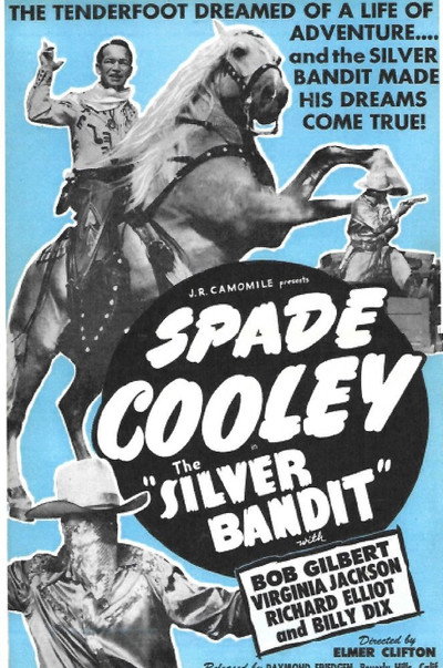 Póster de The Silver Bandit