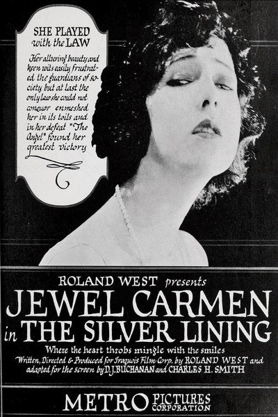 Póster de The Silver Lining