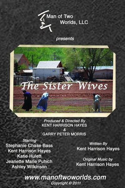 Póster de The Sister Wives