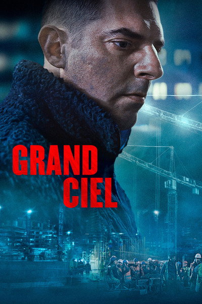 Póster de The Site
