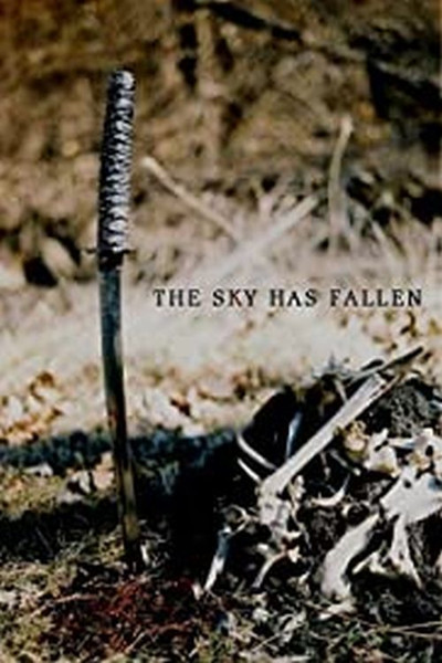 Póster de The Sky Has Fallen