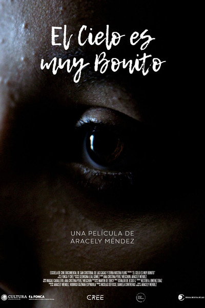 Póster de The Sky Is Very Pretty
