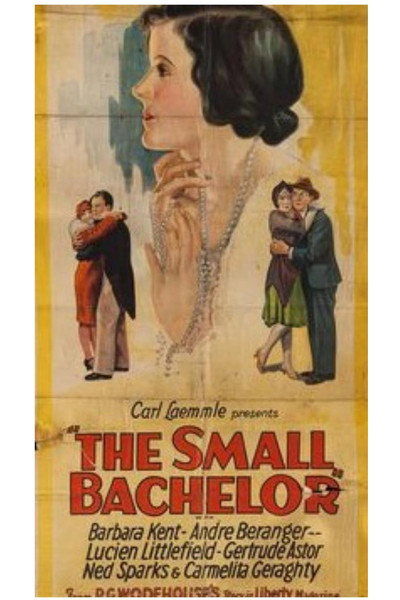 Póster de The Small Bachelor