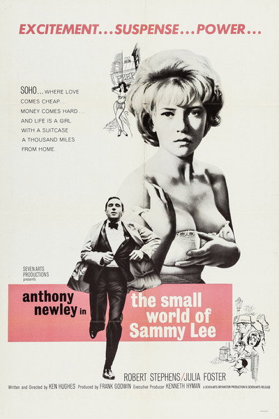 Póster de The Small World of Sammy Lee