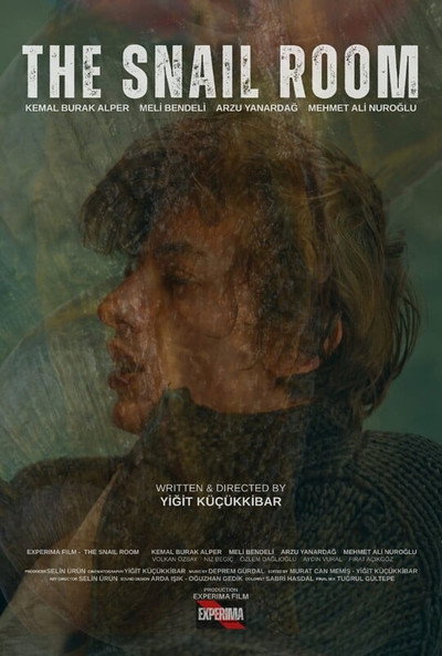 Póster de The Snail Room