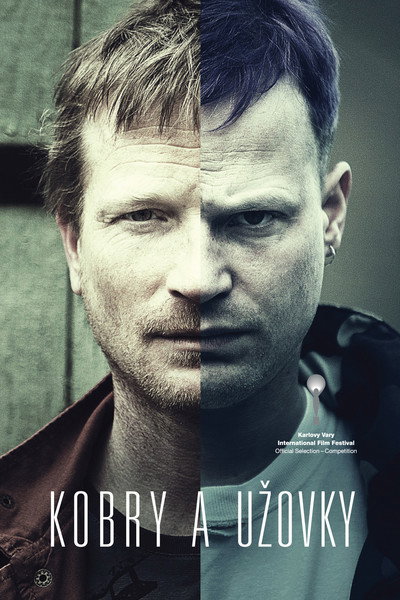 Póster de The Snake Brothers
