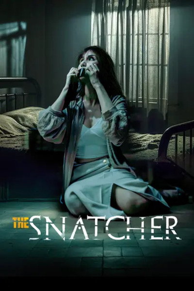 Póster de The Snatcher