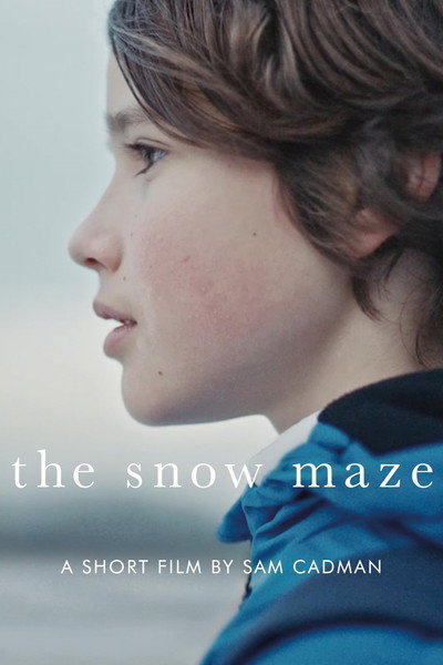 Póster de The Snow Maze