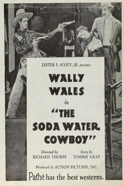 Póster de The Soda Water Cowboy