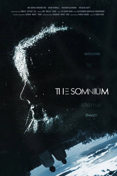 Póster de The Somnium