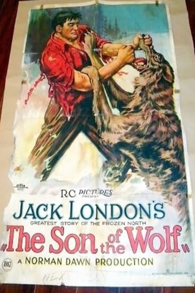 Póster de The Son of the Wolf