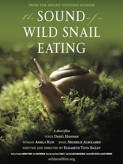 Póster de The Sound of a Wild Snail Eating