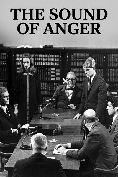 Póster de The Sound of Anger