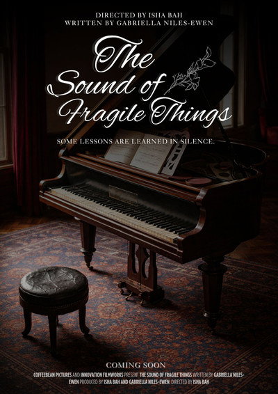 Póster de The Sound of Fragile Things