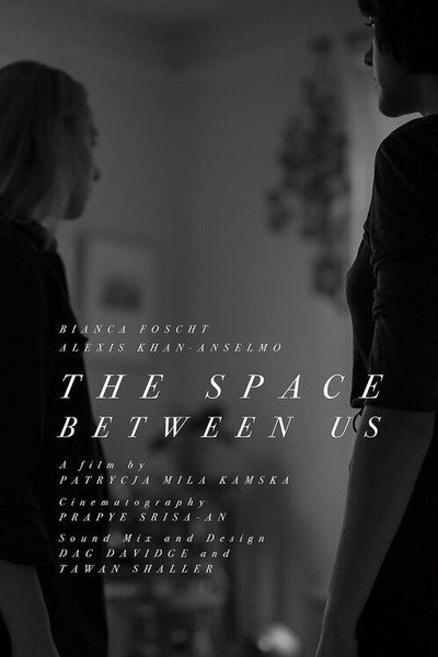 Póster de The Space Between Us