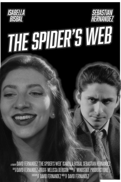 Póster de The Spider's Web