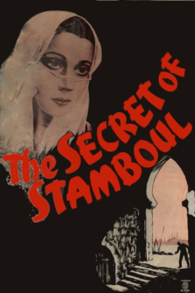 Póster de The Spy in White