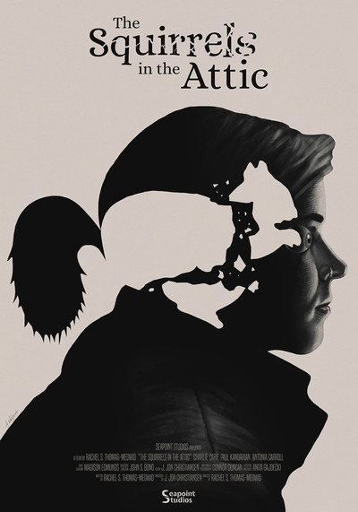 Póster de The Squirrels in the Attic