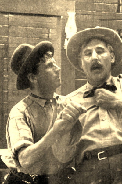 Póster de The Stage Driver's Daughter