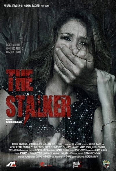 Póster de The Stalker