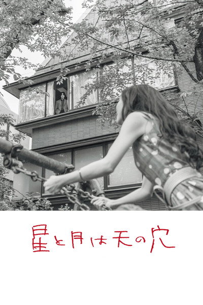 Póster de The Stars and Moon Are Holes in the Sky