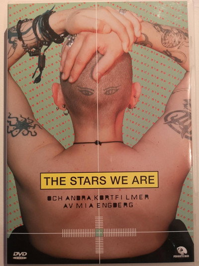Póster de The Stars We Are