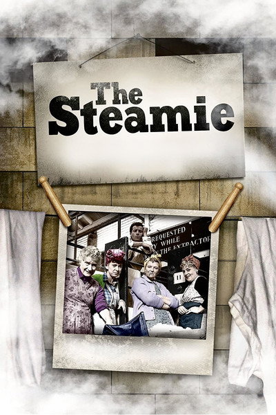 Póster de The Steamie