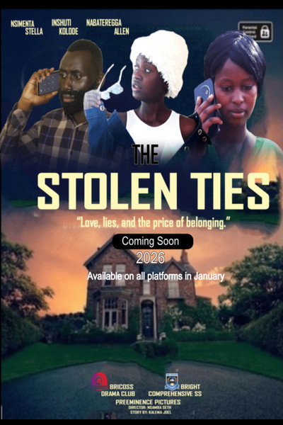 Póster de The Stolen Ties