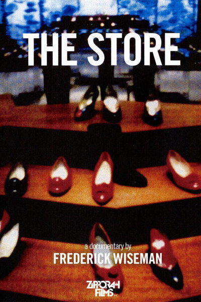 Póster de The Store