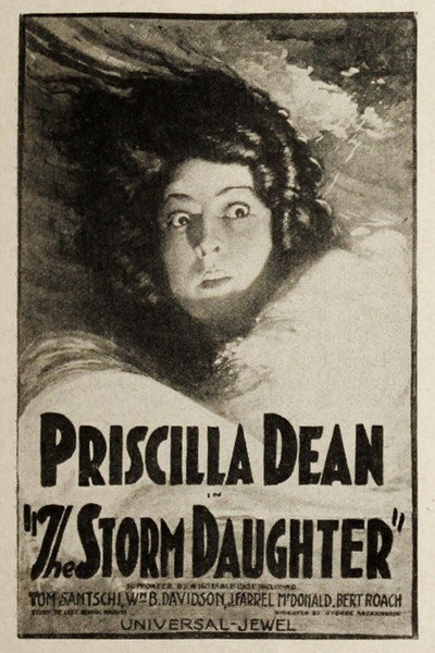 Póster de The Storm Daughter