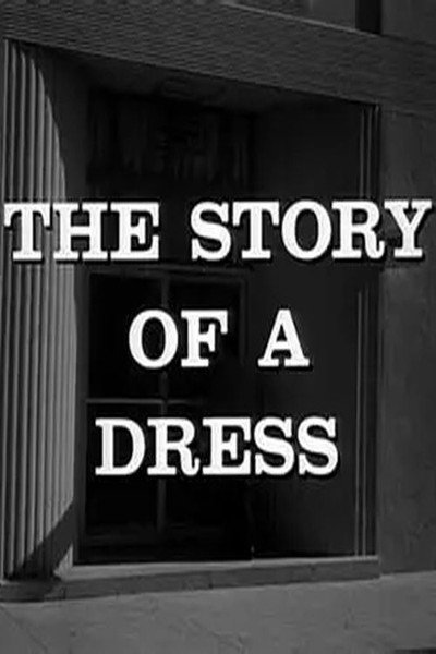 Póster de The Story of a Dress