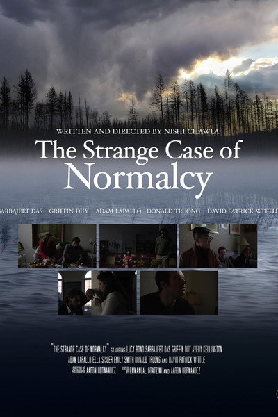 Póster de The Strange Case of Normalcy