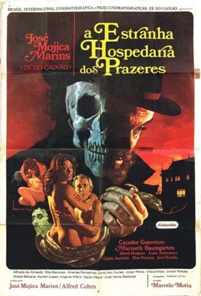 Póster de The Strange Hostel of Naked Pleasures