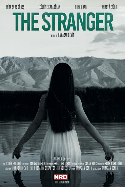 Póster de The Stranger