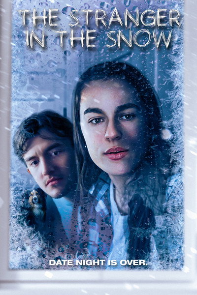 Póster de The Stranger in the Snow