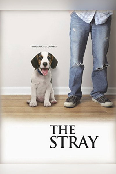 Póster de The Stray