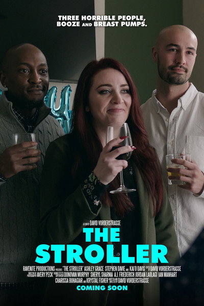 Póster de The Stroller