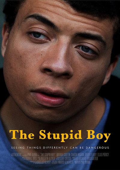 Póster de The Stupid Boy