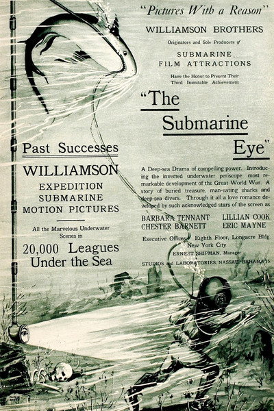 Póster de The Submarine Eye