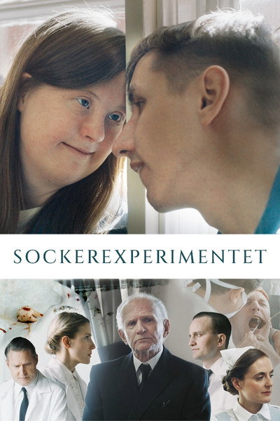 Póster de The Sugar Experiment
