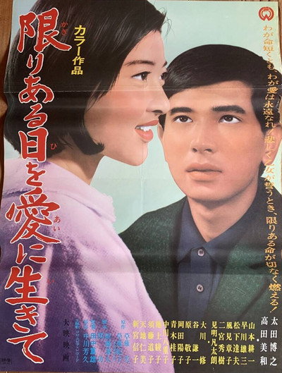 Póster de The Suitors