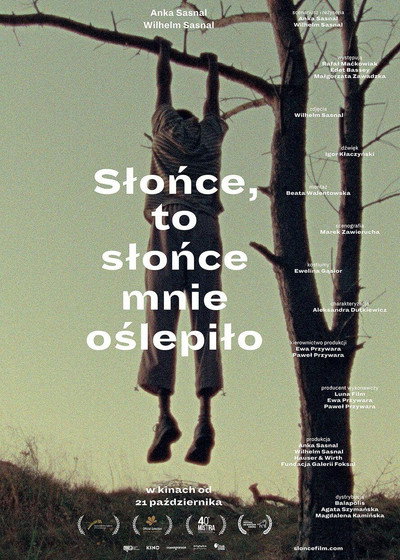 Póster de The Sun, the Sun Blinded Me