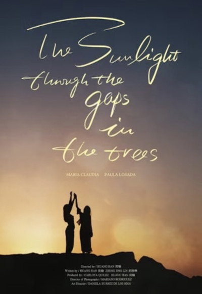 Póster de The Sunlight Through the Gaps in the Trees