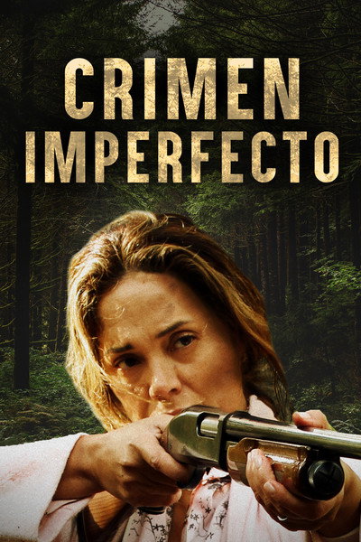Póster de The Surprise Visit