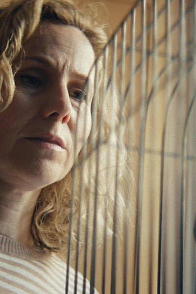 Póster de The Survivors Will Envy the Dead