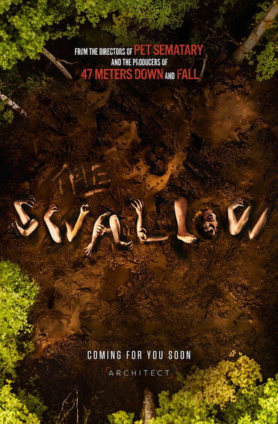 Póster de The Swallow