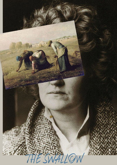 Póster de The Swallow